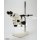 Zeiss Stemi SV11 Stereomikroskop Microscope #10904