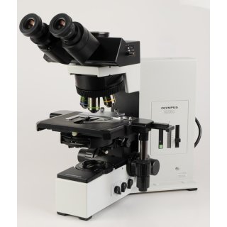 Olympus BX50 Mikroskop mit Phasenkontrast und Fototubus