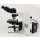 Olympus BX50 Mikroskop mit Phasenkontrast und Fototubus