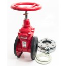 AVK gate valve DN100 with flanges, seals and mounting...