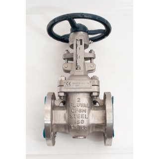 Fluval Spain CF8M gate valve 2"