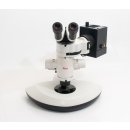Leica fluorescence stereomicroscope MZFLIII with power suplly and cold light source