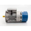Motori Elettrici TFP90S/4 B 5 Elektromotor
