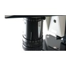Leica Z6 APO zoom system with MacroFluo fluorescence unit