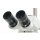 Olympus Stereomikroskop SZX9 Zoom mit Schott Kaltlichtquelle und Ringlichtleiter