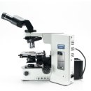 Olympus BX51 Mikroskop mit ergonomischem Ergotubus