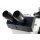 Leica inverses Mikroskop DMIRB mit Phasenkontrast und N Plan Objektiven