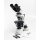 Optika B-600 transmitted light microscope with polarization
