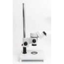 Leica Wild M3 stereomicroscope
