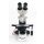 Leica DM3000 transmitted light microscope with HC PL Fluotar objectives