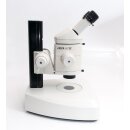 Leica MZ12 stereomicroscope with transmitted light unit and cold light source