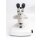 Leica MZ12 stereomicroscope with transmitted light unit and cold light source