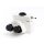 Leica Mikroskop Fototubus 505146 mit 2 Dokuports 505223