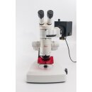 Leica MZFLIII fluorescence stereomicroscope with...