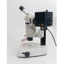 Leica MZFLIII fluorescence stereomicroscope with transmitted light base
