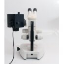 Leica MZFLIII fluorescence stereomicroscope with transmitted light base