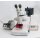 Leica MZFLIII fluorescence stereomicroscope with transmitted light base