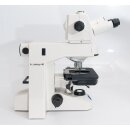 Zeiss Axioskop 40 TL Microscope with Ergo-Tube, PH and Plan-Neofluar Objectives