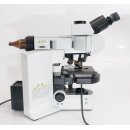 Olympus BX61 Fluoreszenzmikroskop Auf- und Durchlicht mit Phasenkontrast