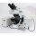 Olympus BX61 Fluoreszenzmikroskop Auf- und Durchlicht mit Phasenkontrast