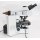 Olympus BX61 Fluoreszenzmikroskop Auf- und Durchlicht mit Phasenkontrast