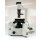 Innovatis Cellscreen Olympus IX50 Inverses Mikroskop  #4117
