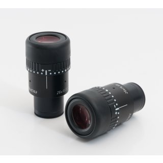 Leica Wild 25x/9.5B Brille Nr. 445302 Okulare 1 Paar  #4592